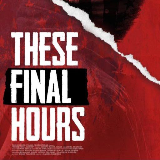 these final hours poster